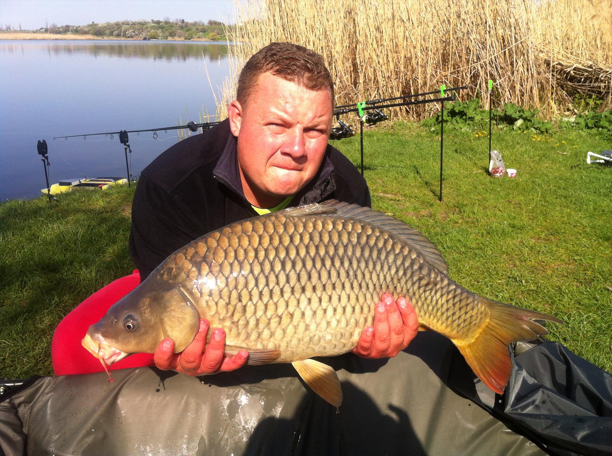 Tancabesti si Moara Vlasiei2 - tancabesti-9kg.jpg